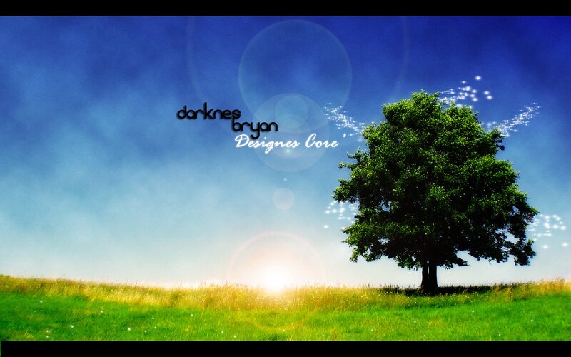 Solitary Tree in Field — Green, Serene, Sunset, Digital Art, Sun