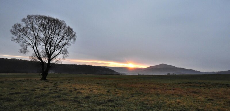 Solitary Tree in Field — Green, Serene, Sunset, Photograph, Mountain, Sun