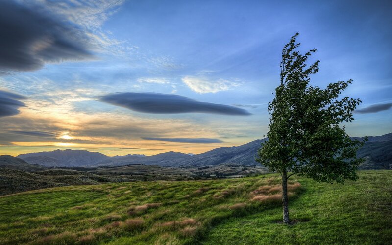 Solitary Tree in Field — Green, Serene, Sunset, Photograph, Mountains, Sky, Clouds