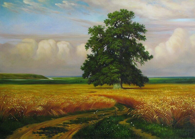 Solitary Tree in Field — Green