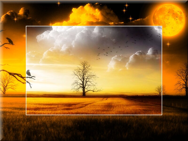 Solitary Tree in Field — Orange, Dramatic, Night