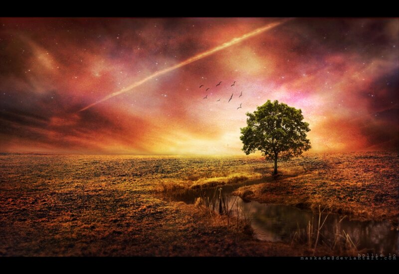 Solitary Tree in Field — Orange, Dramatic, Sunset, Digital Art, Birds