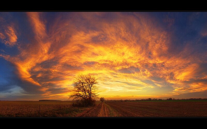 Solitary Tree in Field — Orange, Dramatic, Sunset, Photograph, Sky, Clouds, Yellow