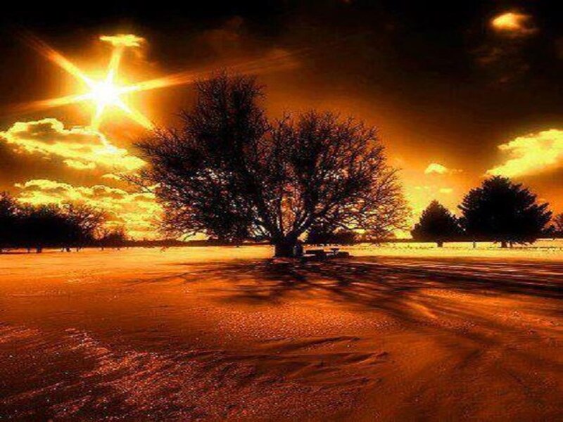 Solitary Tree in Field — Orange, Dramatic, Sunset, Photograph, Sun, Clouds