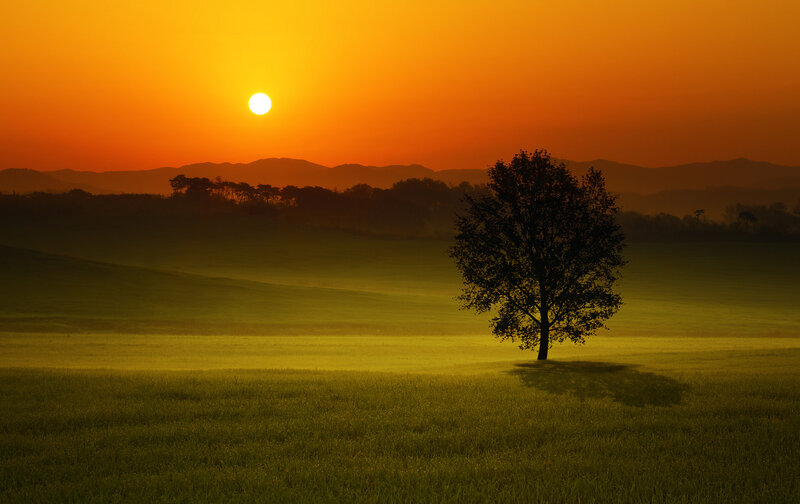 Solitary Tree in Field — Orange, Serene, Sunset, Photograph, Sun, Mountains