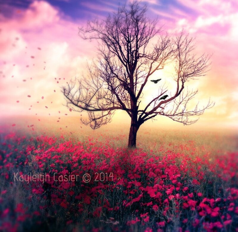 Solitary Tree in Field — Pink, Dreamy