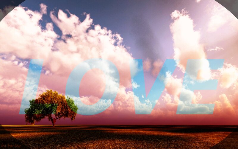 Solitary Tree in Field — Pink, Serene, Sunset