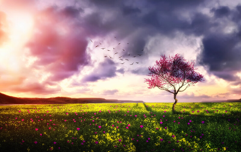 Solitary Tree in Field — Purple, Dramatic, Sunset, Digital Art, Birds