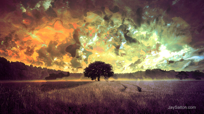 Solitary Tree in Field — Purple, Dramatic, Sunset, Digital Art, Sky