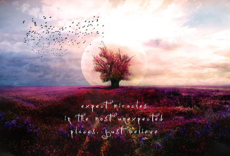Solitary Tree in Field — Purple, Dreamy