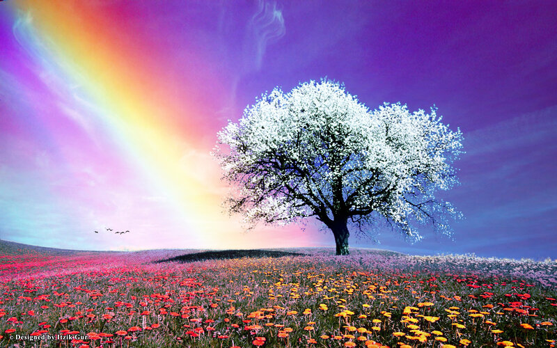 Solitary Tree in Field — Purple