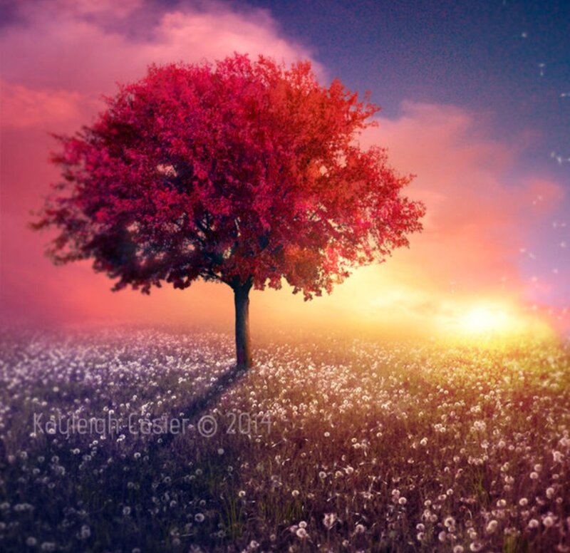 Solitary Tree in Field — Red, Serene, Sunset, Digital Art