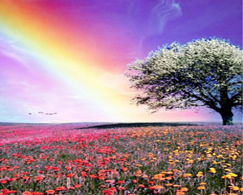 Solitary Tree in Flower Field — Purple