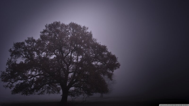 Solitary Tree in Fog — Purple, Mysterious