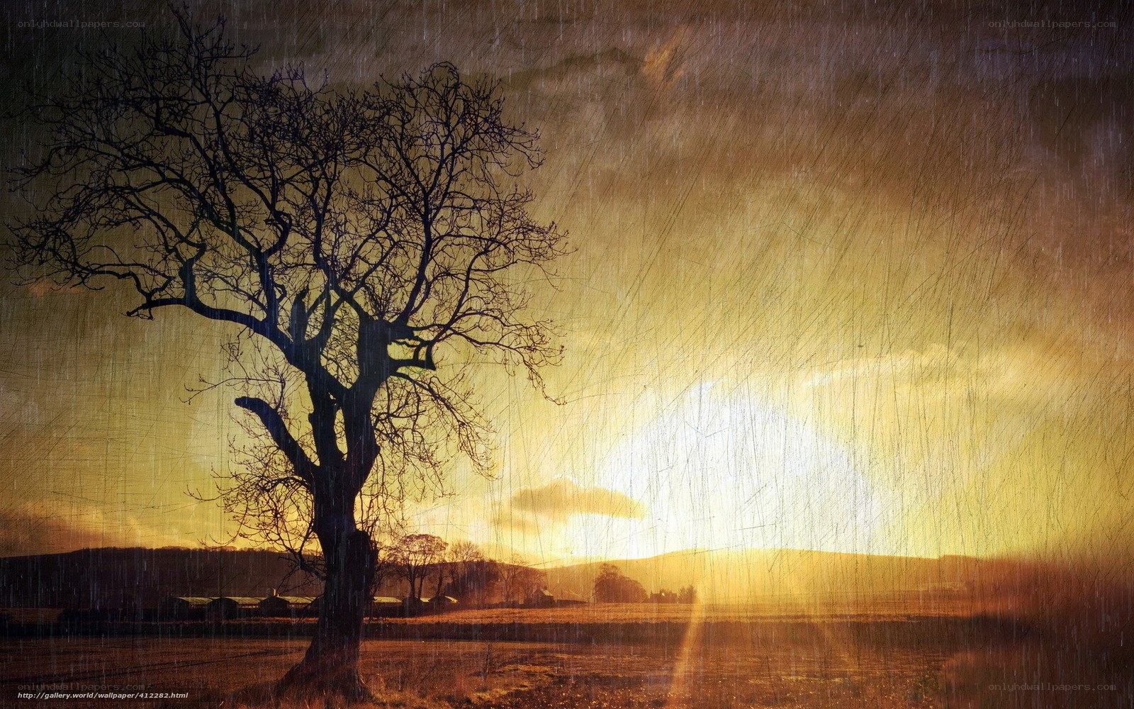Solitary tree in golden rain