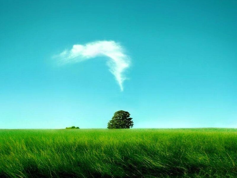 Solitary tree in green field