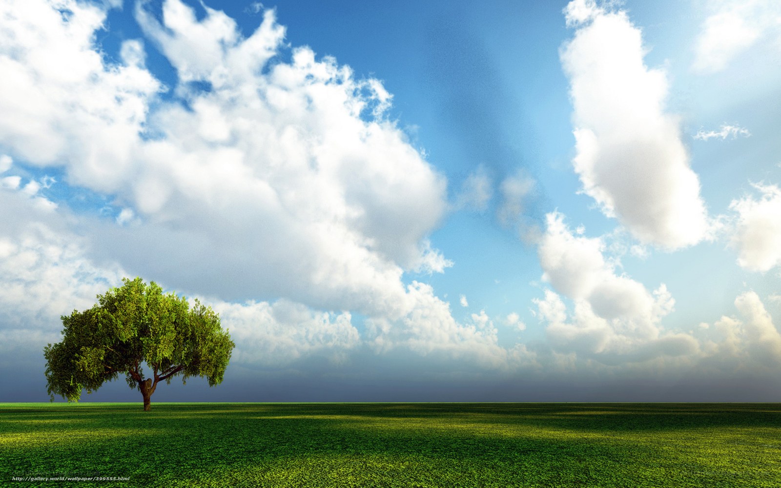 Solitary tree in green field