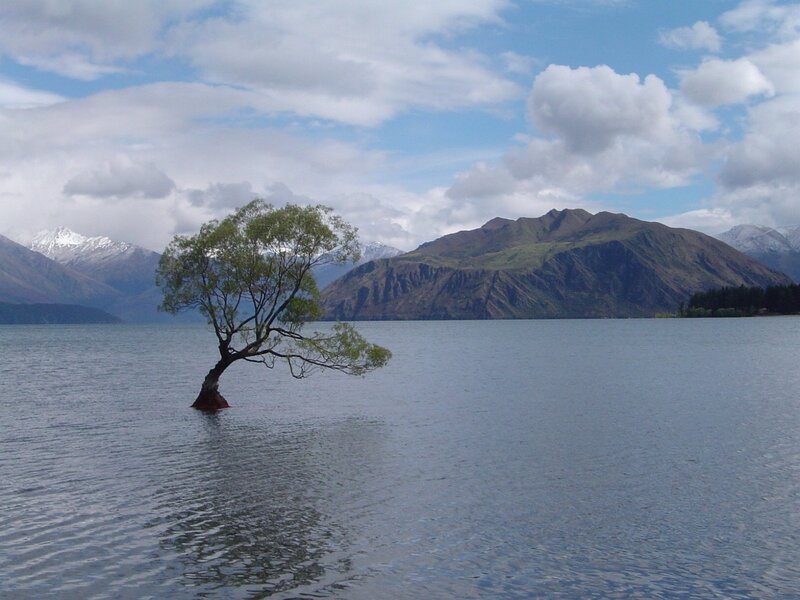 Solitary Tree in Lake — Blue, Serene, Afternoon, Photograph, Mountains, Clouds