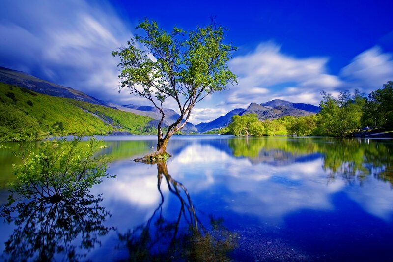 Solitary Tree in Lake — Blue, Serene, Afternoon, Photograph, Mountains