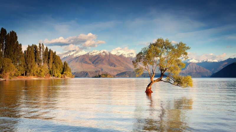 Solitary Tree in Lake — Blue, Serene, Afternoon, Photograph, Mountains, Trees