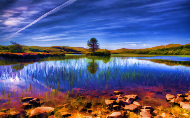 Solitary Tree in Lake — Blue, Serene, Afternoon