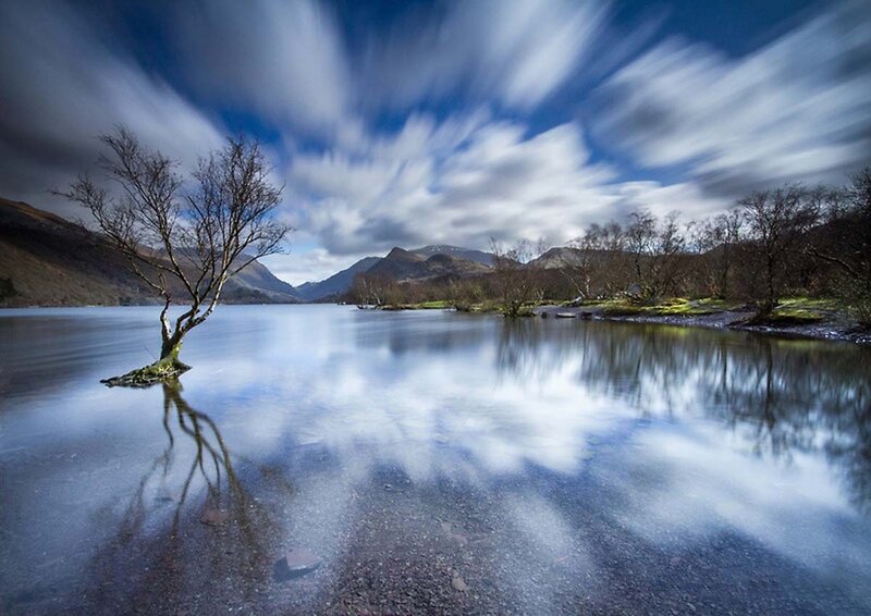 Solitary Tree in Lake — Blue, Serene, Morning, Photograph, Mountains, Clouds