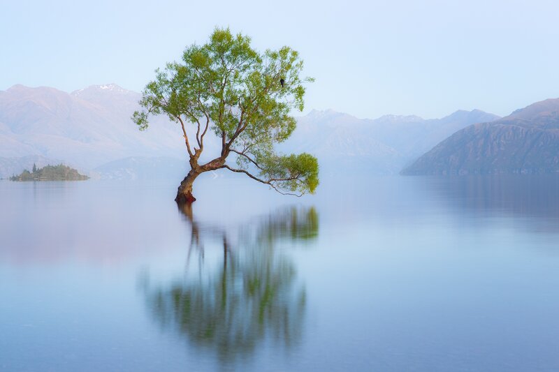 Solitary Tree in Lake — Blue, Serene, Morning, Photograph, Mountains, Reflection