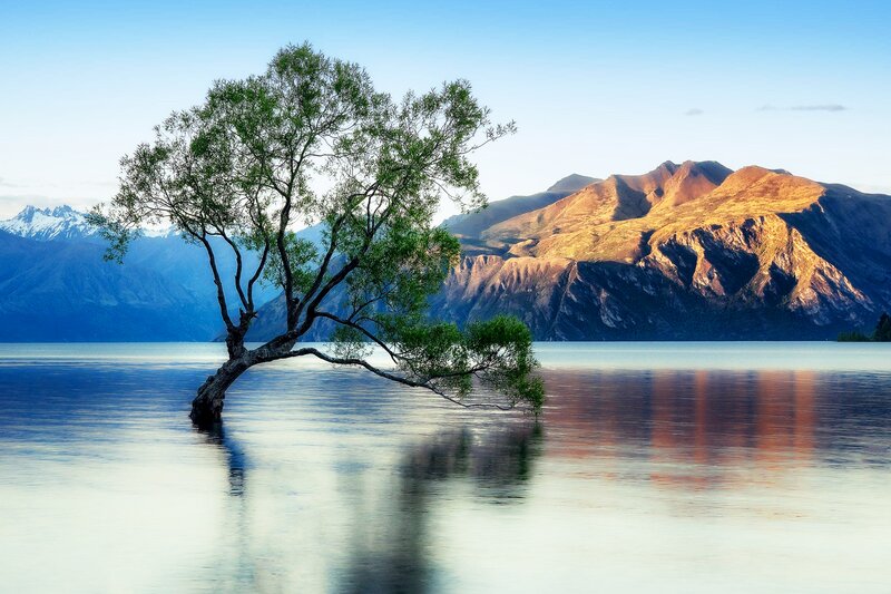 Solitary Tree in Lake — Blue, Serene, Morning, Photograph, Mountains