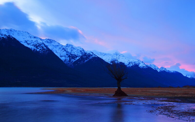 Solitary Tree in Lake — Blue, Serene, Sunset
