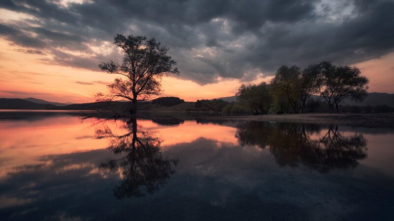 Solitary Tree in Lake — Orange, Dramatic, Sunset, Photograph, Trees