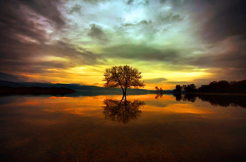 Solitary Tree in Lake — Orange, Dramatic, Sunset