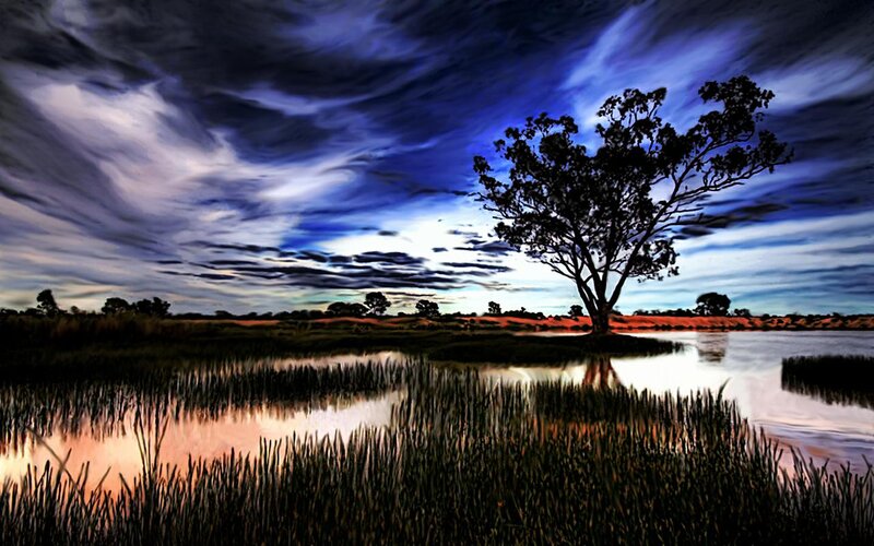 Solitary Tree in Marsh — Blue, Dramatic