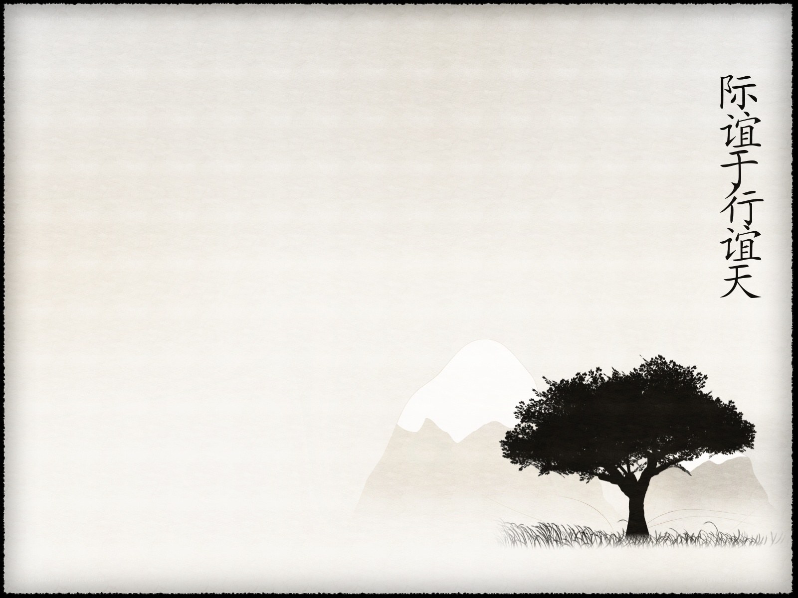 solitary tree in mist