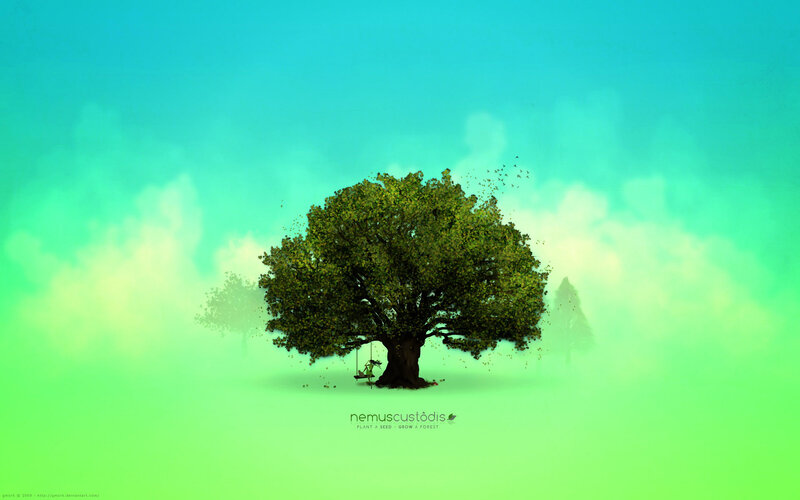 Solitary Tree in Mist — Green