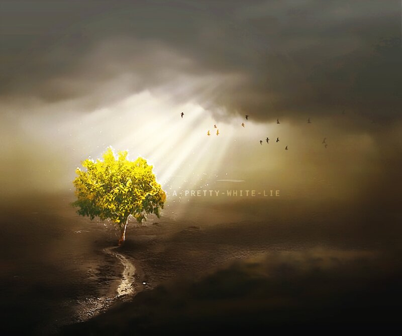 Solitary Tree in Mist — Yellow