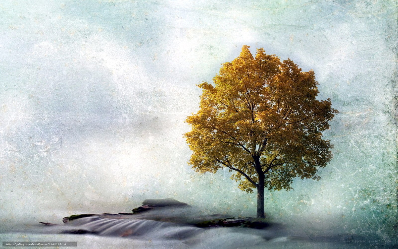 solitary tree in mist