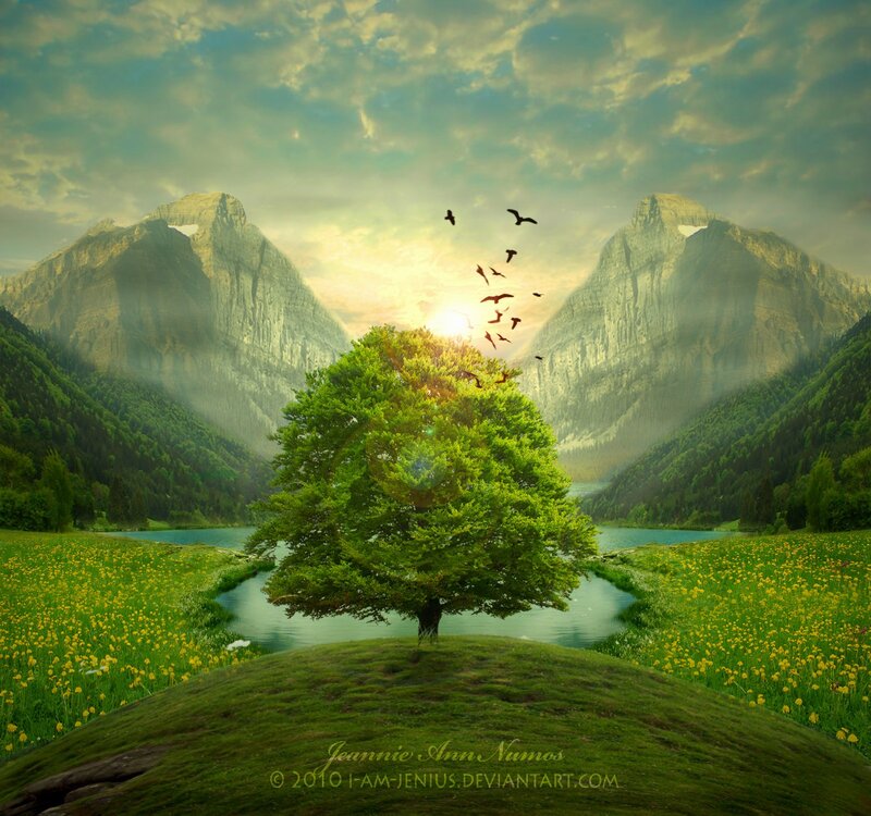 Solitary tree in mountain valley