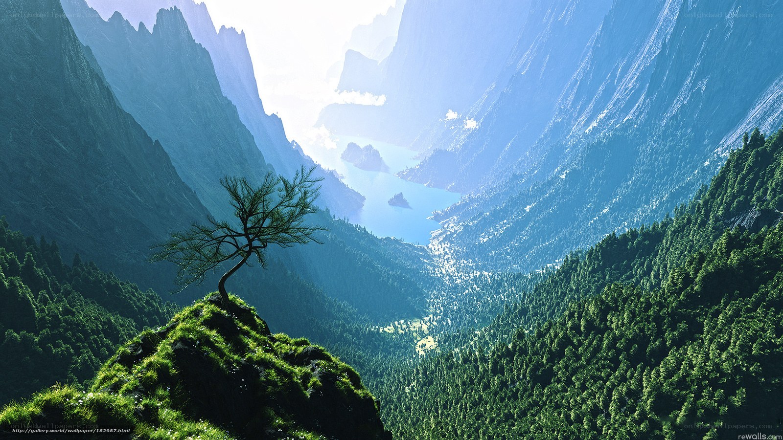 Solitary tree in mountain valley