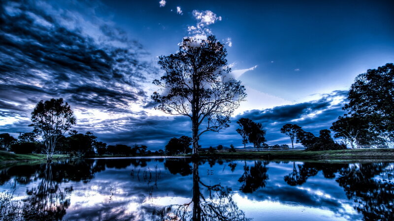 Solitary Tree in Pond — Blue, Dramatic