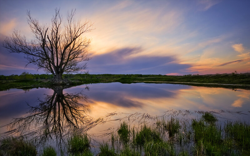 Solitary Tree in Pond — Blue, Serene, Sunset, Photograph, Sky, Clouds