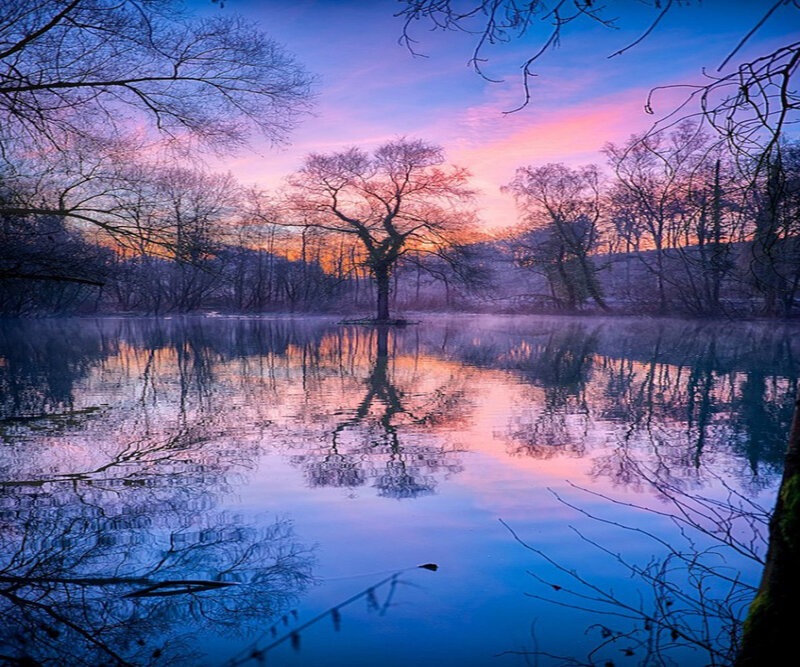 Solitary Tree in Pond — Blue, Serene, Sunset