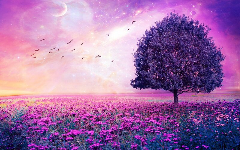 Solitary Tree in Purple Field — Dreamy, Night
