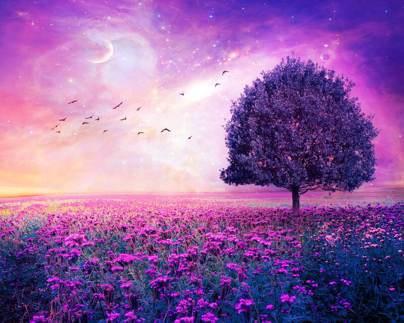 Solitary Tree in Purple Field — Dreamy
