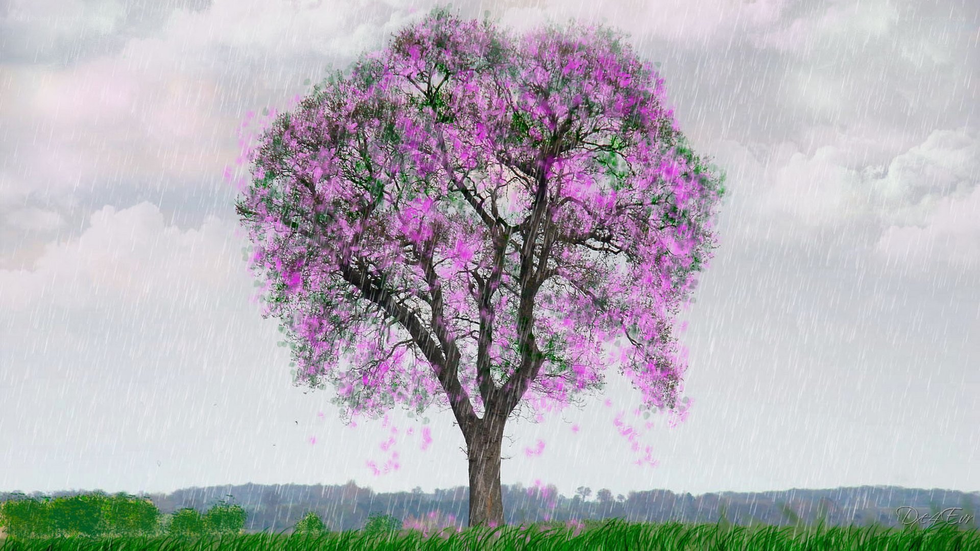 Solitary tree in rain