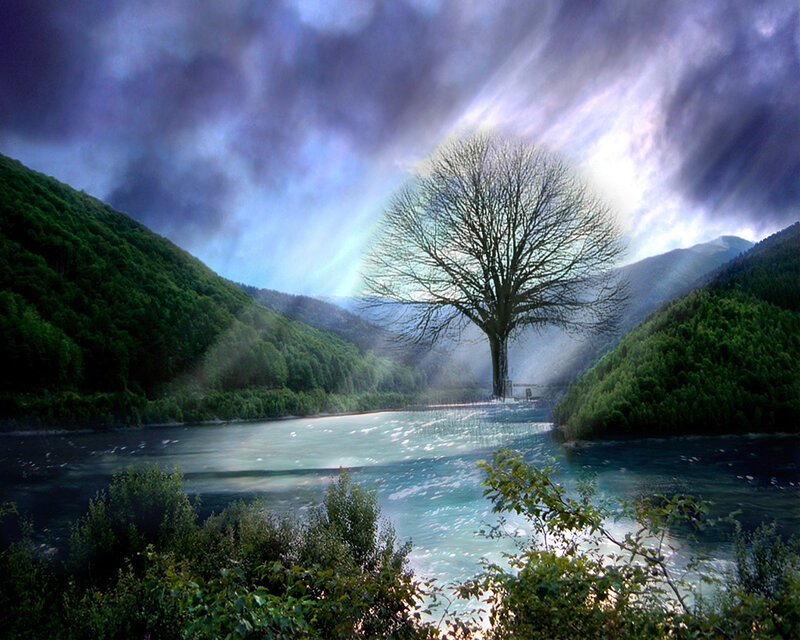 Solitary Tree in River — Blue, Dramatic