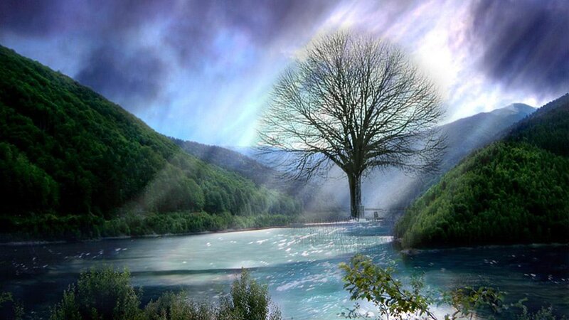 Solitary Tree in River — Green, Dramatic