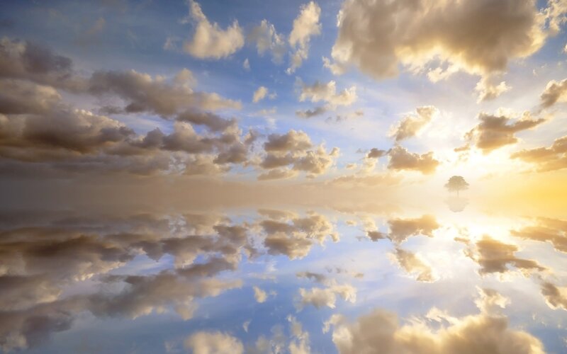 Solitary Tree in Sky — Blue, Serene