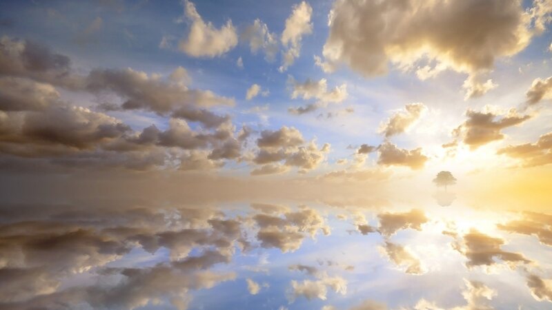 Solitary Tree in Sky — Blue