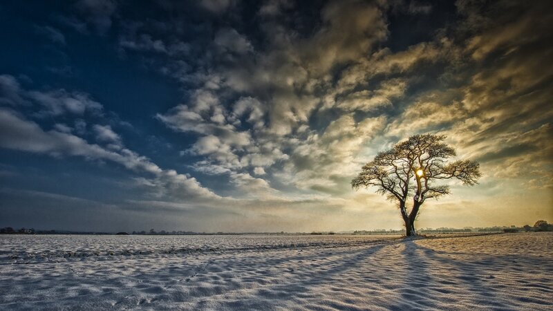 Solitary Tree in Snow — Blue, Dramatic, Winter, Photograph, Clouds