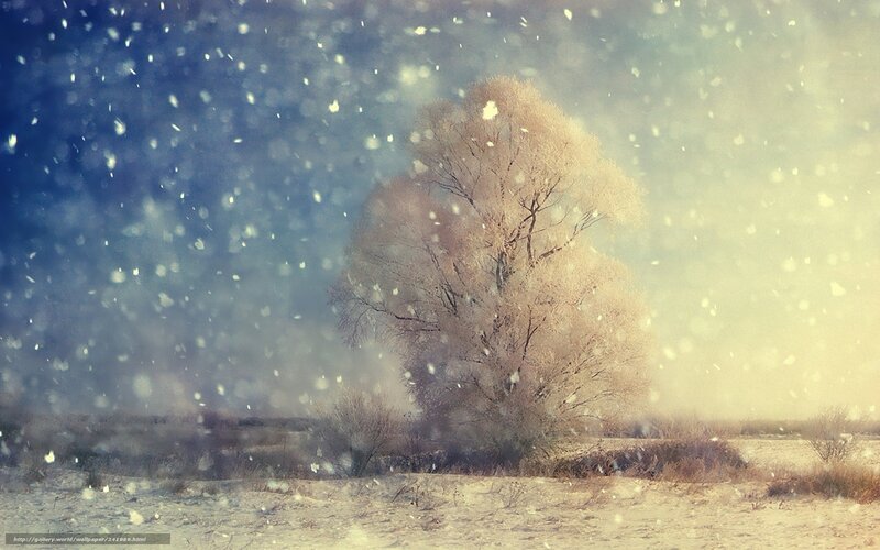 Solitary Tree in Snow — Blue, Serene, Winter, Photograph, Sky